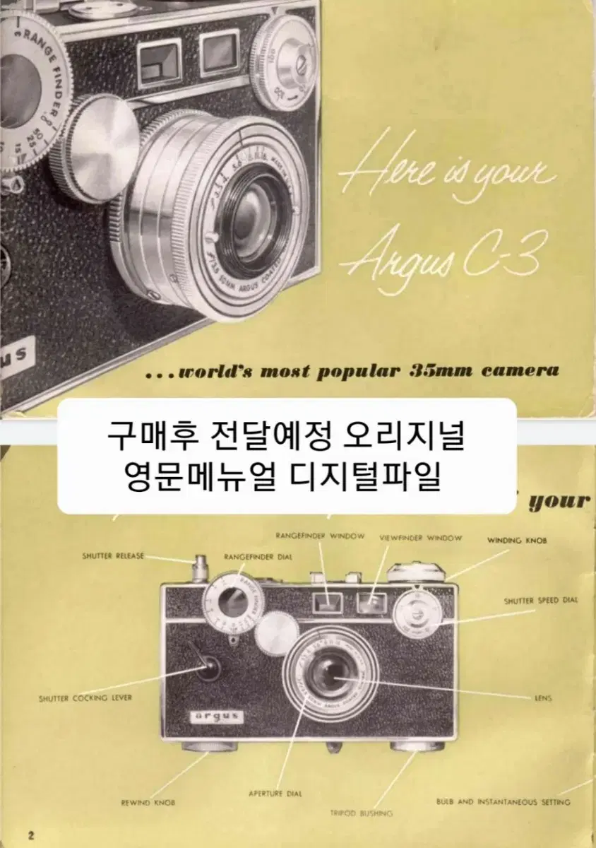 thumbnail-11